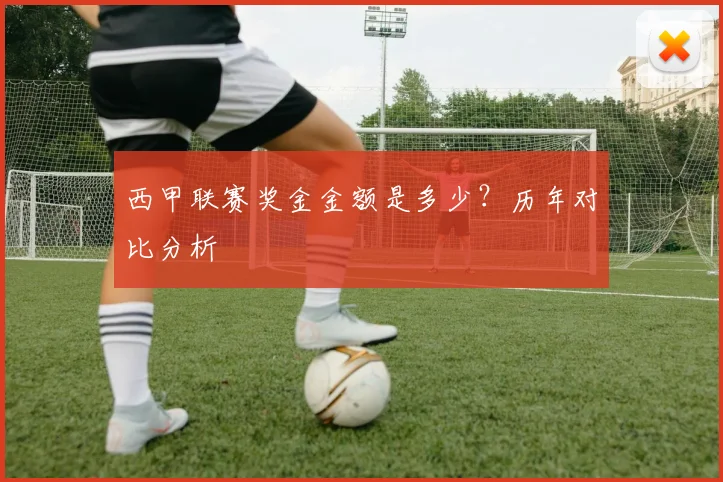 西甲联赛奖金金额是多少？历年对比分析