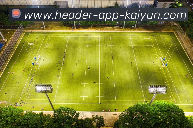 开云app平台生态图