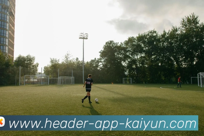 开云appAPP 封面图